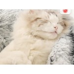 Soft Plush Pet Bed with Cover Round Cat Bed Pet Mattress Warm Cat Dog 2 in 1 Sleeping Nest Cave for Small Dogs